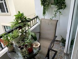 Sunrise Gardens (D28), Condominium #465186381